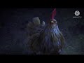 Tuffnut S Chicken Sound