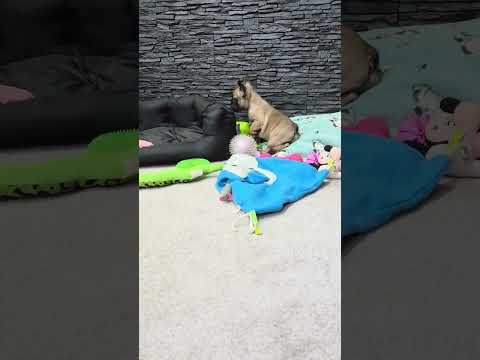 Video 7