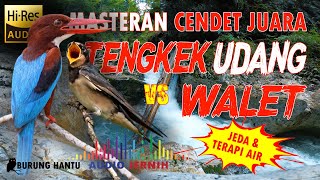 Download lagu Masteran Candet Dewa Killer Suara Walet Ngerol Tembakan Tengkek Udang mp3