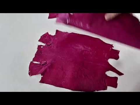 REAL IGUANA SKIN 5842