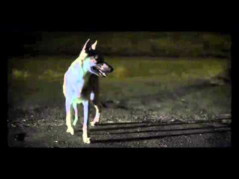 KALI A PETER PANN   JACKPOT OFFICIAL 4K VIDEO 799AhvNPRBg