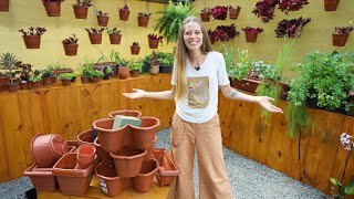 Miniatura do vídeo