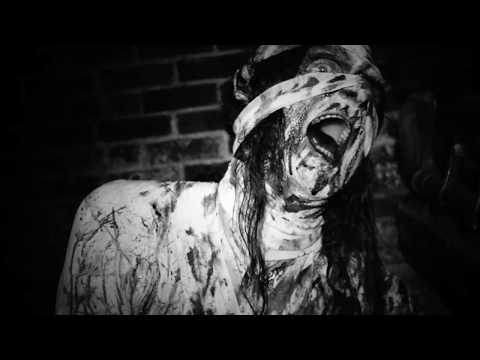 Control The Devastator - Lacerations - OFFICIAL VIDEO