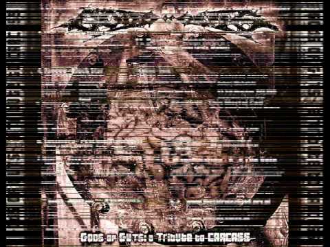 GODS OF GUTS: A TRIBUTE TO CARCASS    DEVILYN - Heartwork