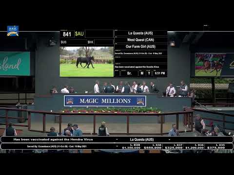 2021 Gold Coast National Broodmare Sale Day 1 - Part 2