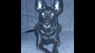 DJ HELMIC- REMIX - 05.02.2017 - Weekend Heroes - Sidewinder