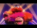 This Little Pig Went To Market Starring Elmo And The Oinker Sisters