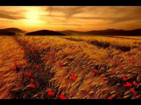 EMMA SHAPPLIN - SPENTE LA STELLE