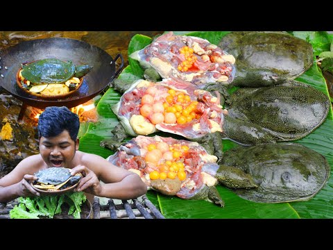 download lagu mp3 mp4 Softshell Turtle Food, download lagu Softshell Turtle Food gratis, unduh video klip Softshell Turtle Food