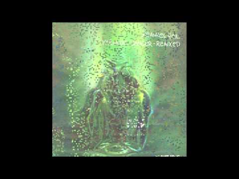 Johannes Heil - Paranoid Dancer (Alexander Kowalski Remix)