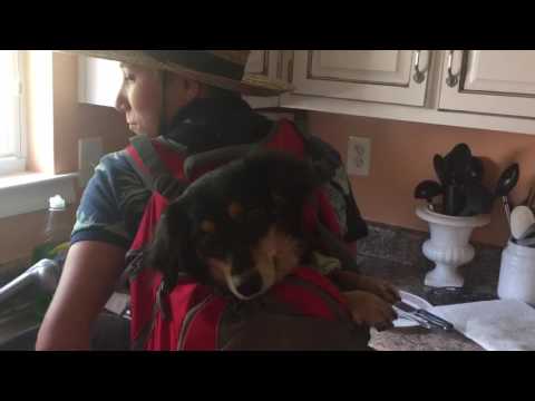 Cool kids COOKIN with chemistry