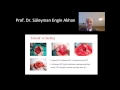 Prof. Dr. Süleyman Engin Akhan Prof. Dr. Süleyman Engin Akhan