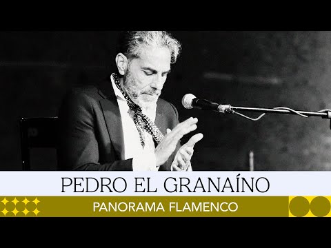 PEDRO EL GRANAÍNO #PanoramaFlamenco #flamenco
