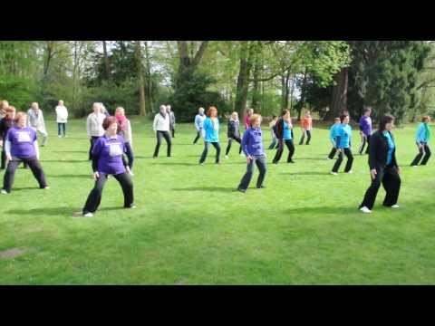 #130427 Taijidag Dilsen  Leverqigong6