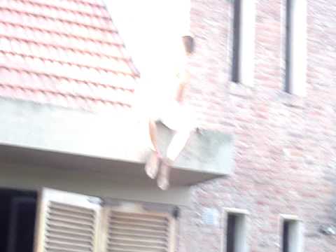 tirada de joaco del techo -. mb