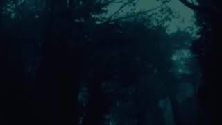 Soner Sarıkabadayı-Tarifi Zor(Slowed+Reverb)🖤