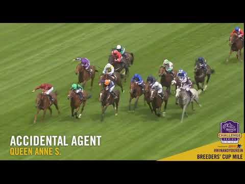 2018 Queen Anne Stakes - Accidental Agent (GB)