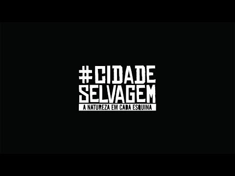 Solo Fértil e Dirty Lion - Que rastro você quer deixar? (#CIDADESELVAGEM)