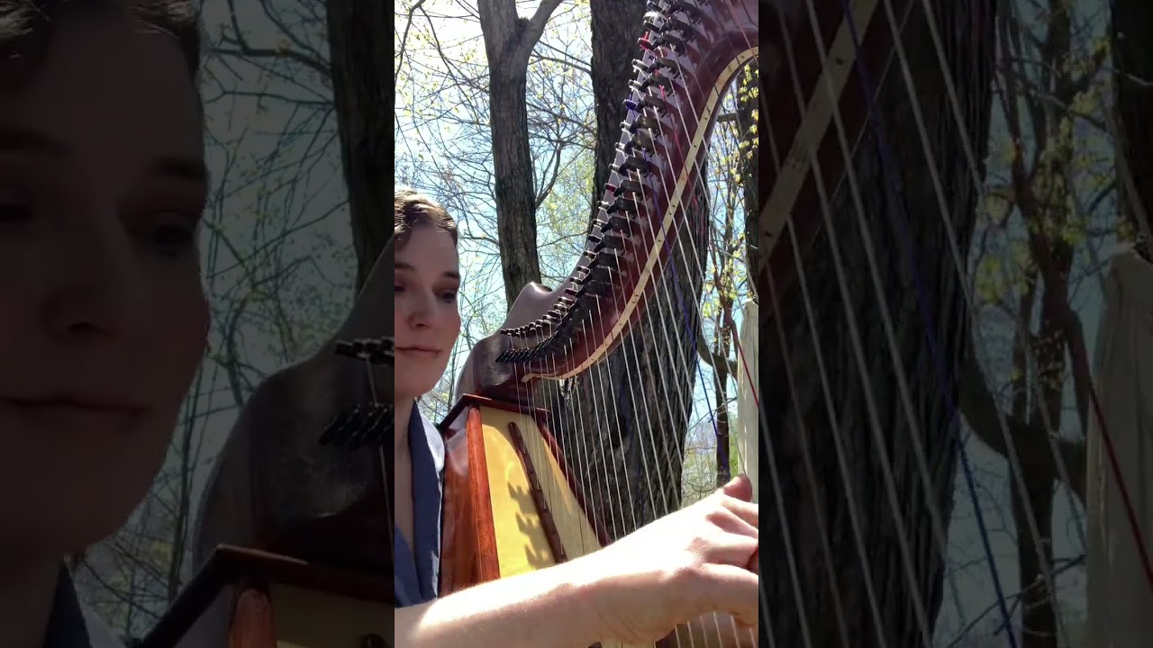 Promotional video thumbnail 1 for The Illuminated Harpist