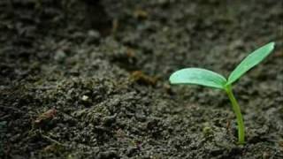 Czas'' - Bert Hellinger