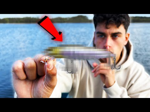 Verdoppel' deine HECHT-Fänge (Erfolgsmethode im Frühjahr)