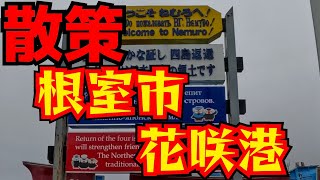 Stroll around Hanasaki Port in Nemuro City