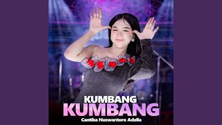 Download lagu Kumbang Kumbang mp3