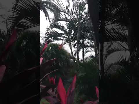 Chuva Agora em São José do Seridó RN