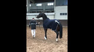 CIR de Jardy : la Belgique aux commandes des 4 ans