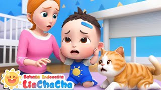 Download lagu Bermain di Tempat yang Aman 🛝 | Lagu Kebiasaan Baik | Lagu Anak-anak | LiaChaCha Bahasa Indonesia mp3