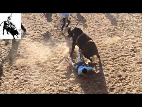 EL TORO MAMBO - BANDA SINALOENSE  MM (Sones con banda)