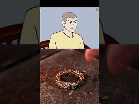 #ASMR robi story, part 8#dhotdesign #17agustus #animasiindonesia #asmrvideos #st