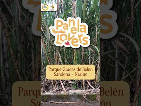 Panela Lovers 2026 | Capítulo "Parque Gradas de Belén" | Sandona, Nariño