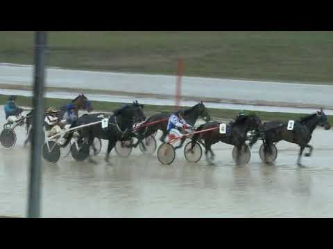 2018.03.31 6 futam Ügető