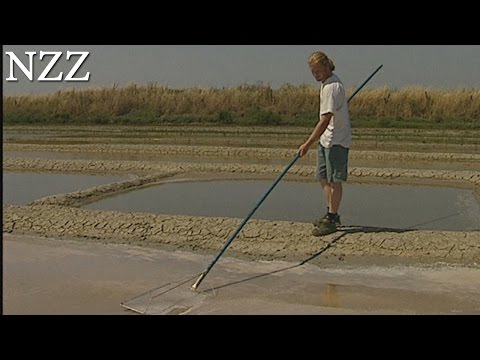 , title : 'Feinschmecker-Träume: Salz, Pfeffer und die Welt der Gewürze - Dokumentation von NZZ Format (2000)'