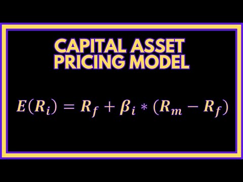 How to use the CAPM (CAPITAL ASSET PRICING MODEL) (Quick Guide) 💡 | Finance 101