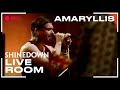 Shinedown - "Amaryllis" captured in The Live ...