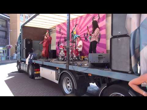 The Royal Hounds   I'll Try