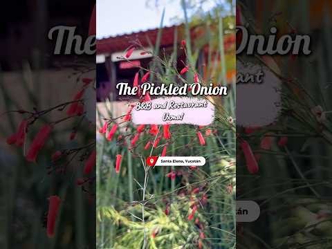 The pickled onion hotel y restaurante en Santa Elena Yucatán Mexico. #santaelena  #yucatan  #mexico