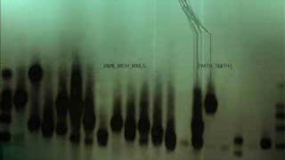 Nine Inch Nails - The Line Begins To Blur (Reaps Remix)