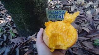 Miniatura do vídeo