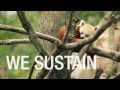 Smithsonian's National Zoo: We Save Species