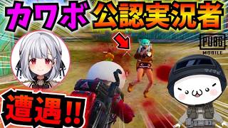 【PUBGモバイル】配信中の女性VTuberと直接対決！可愛すぎる敵に全視聴者ノックアウトw【公式パートナー】