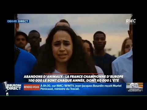 Animaux, La France championne de l’abandon en 2019