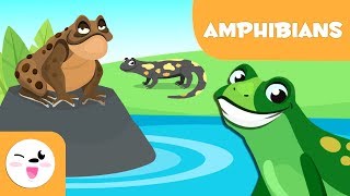Amphibians for kids - Vertebrate animals - Natural