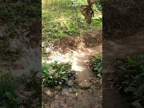 Las Pailas, via a Morelia Caquetá