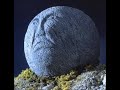 Boulders Theme From Rusty And The Boulder Series 5