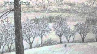 Winter Birds - Ray Lamontagne (cover)
