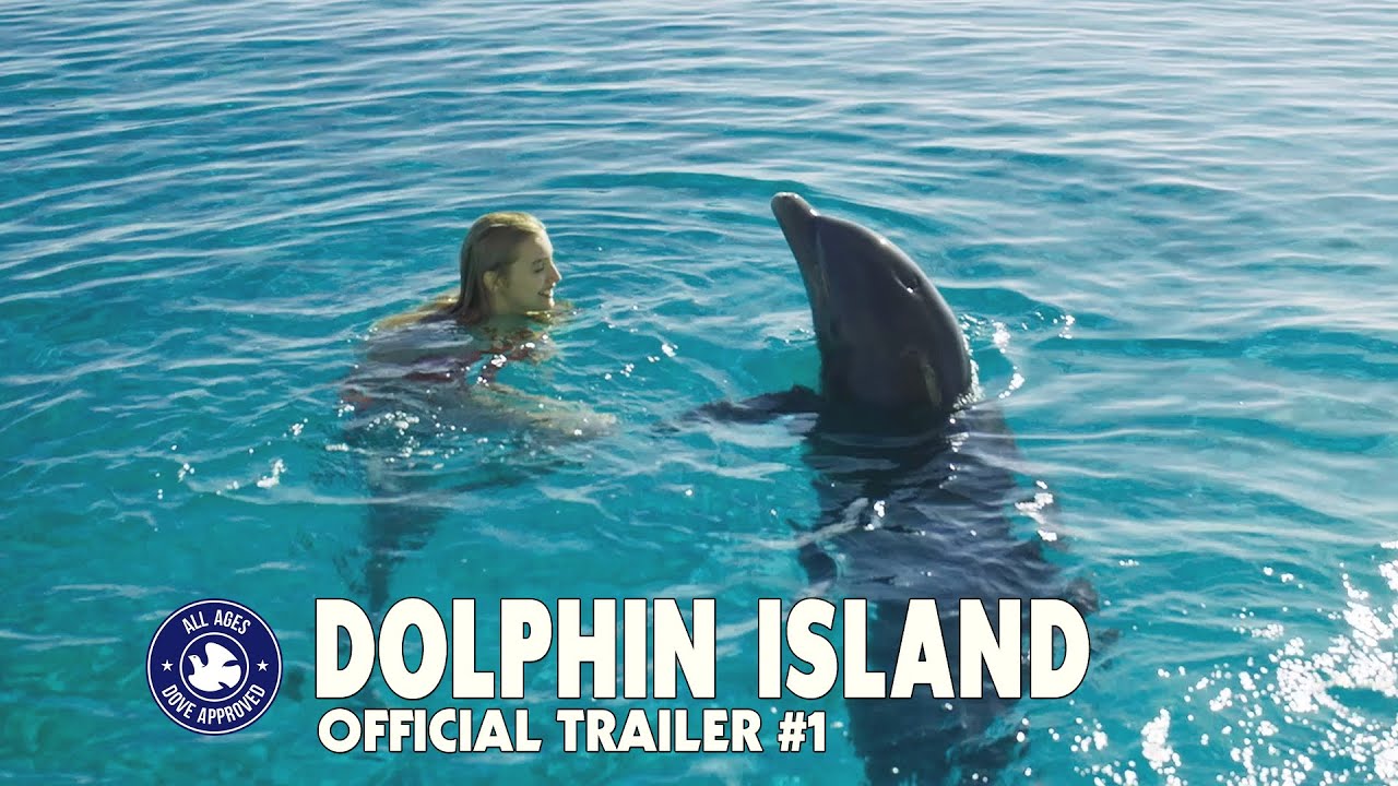 Dolphin Island Trailer