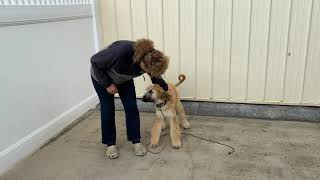 Teaching Recall Part 1